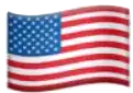 American USA Flag